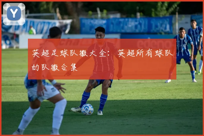 英超足球队徽大全：英超所有球队的队徽合集